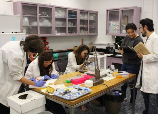 EAES students at work in the lab